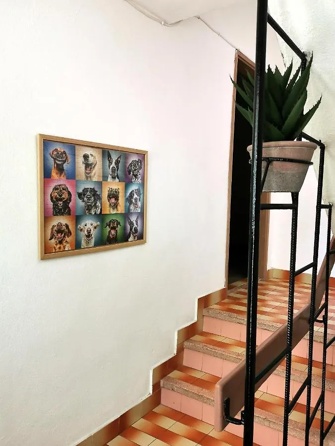 Guest house Guesthouse 